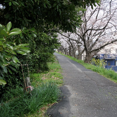 大村新田の川除地蔵